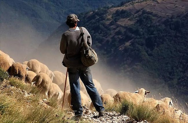 II Jornada de San Pedro : El oficio del Pastor