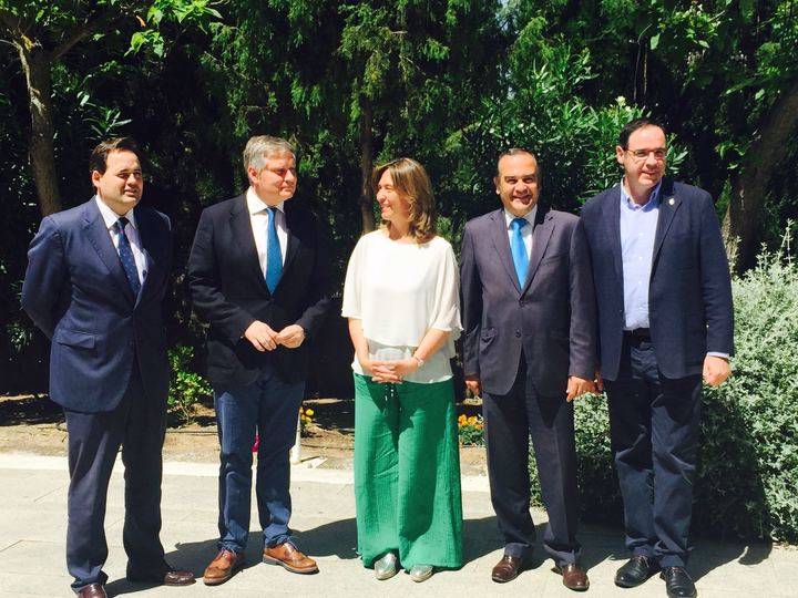 Guarinos destaca que el PP representa “unidad, moderación, solidez, presente y futuro frente a la división del PSOE de Page”