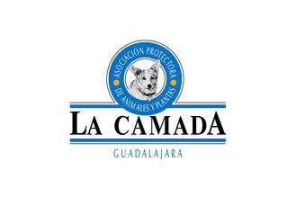 La Camada se ve desbordada y hace un llamamiento a “adopciones responsables”