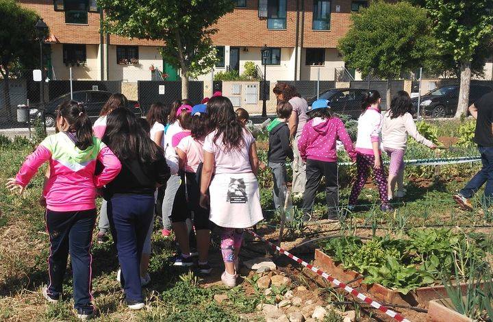 Escolares de Alovera visitaron los huertos de la escuela ecológica