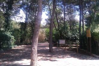 Comienzan los talleres de empleo municipales que mejorarán las instalaciones del Zoo