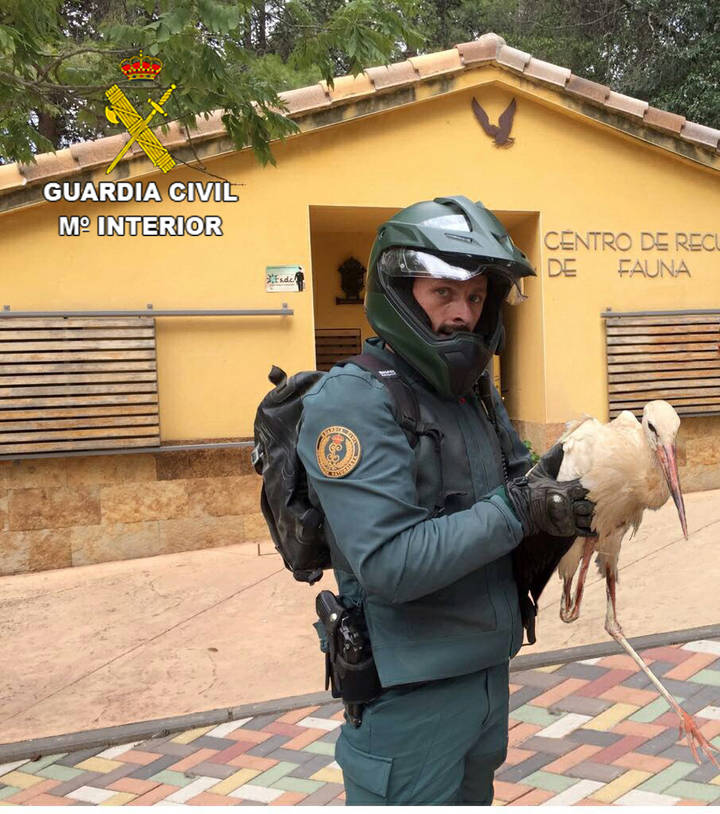 La Guardia Civil recupera una cigüeña blanca en Cabanillas del Campo