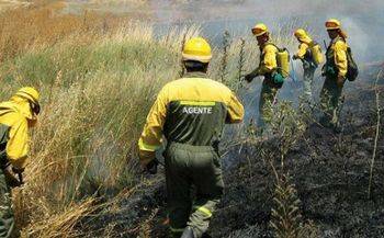 Exigen explicaciones y que se depuren responsabilidades a la Junta de Page por la intoxicacion de, al menos, 15 bomberos forestales en el incendio de Yeste