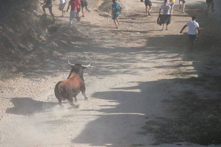 Foto : www.eduardobonillaruiz.com