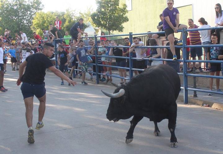 Más de 3.000 personas en el primer encierro de las Fiestas de Cabanillas