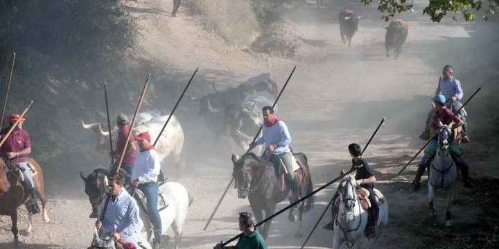 Foto: www.eduardobonillaruiz.com