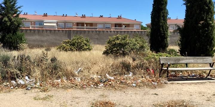 El PP de Villanueva de la Torre exigirá medidas urgentes para acabar con la suciedad que anida en las calles
