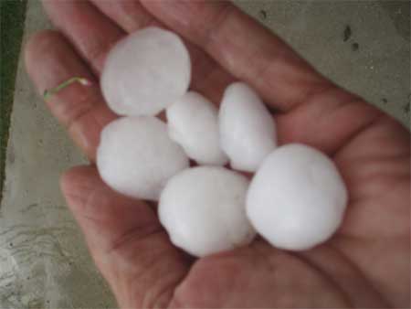 Cae parte del techo del pabellón de la Escuela de Gimnasia de Toledo a causa de la lluvia