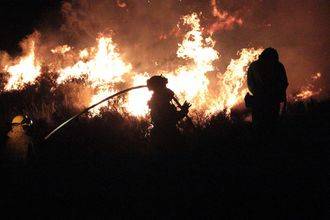 Controlado el importante incendio declarado detrás del Club de Campo del Casino de Guadalajara