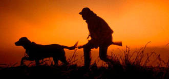 El próximo lunes comienza la media veda de caza en Castilla-La Mancha