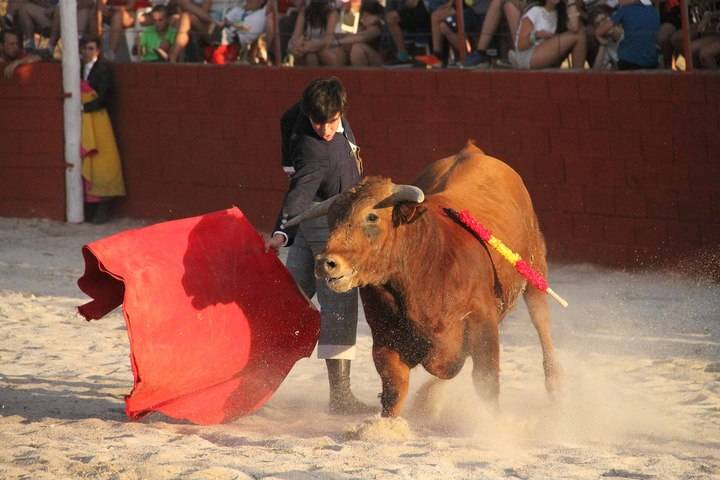 Mario Arruza sale a hombros de la Plaza de Tamajón