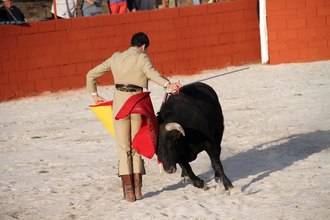 Mario Arruza sale a hombros de la Plaza de Tamajón