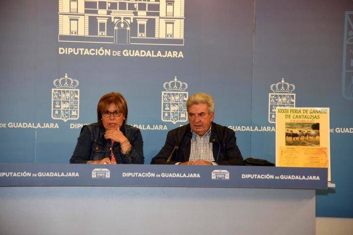 Cantalojas celebra este jueves la XXXIII edición de la Feria de Ganado