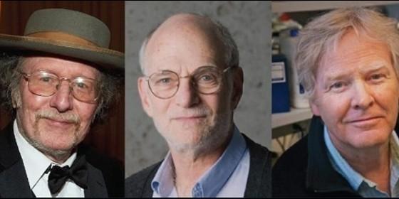 Los descubridores del 'reloj biológico' del cuerpo humano reciben el Nobel de Medicina