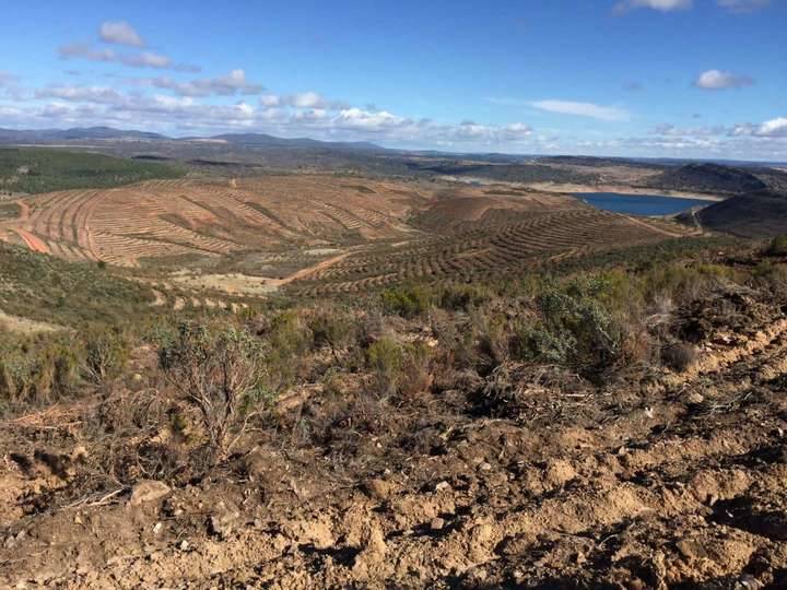 Ecologistas en Acción denuncia a la CHT y Tragsa por 'atentado ecológico' en la Sierra de Ayllón
