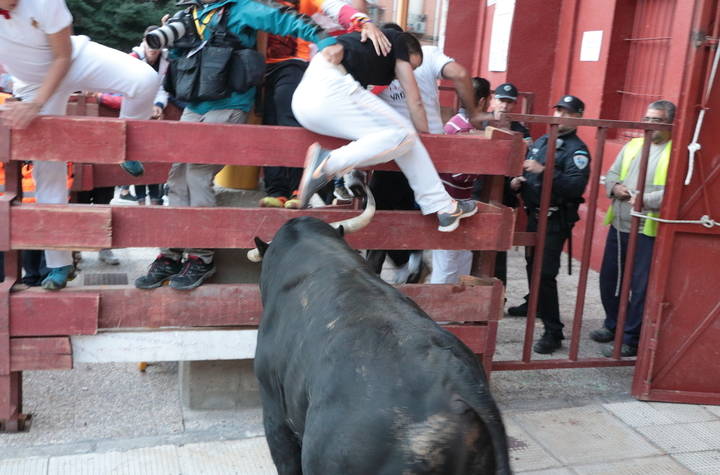 Un toro rezagado genera situaciones de peligro en el segundo encierro de Ferias