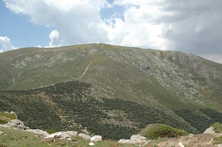 Fallece un miembro del Club Alcarreño de Montaña mientras subía el cerro Tempraniego