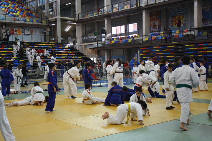 Cerca de 400 deportistas en la II Fase del Deporte Escolar de Judo