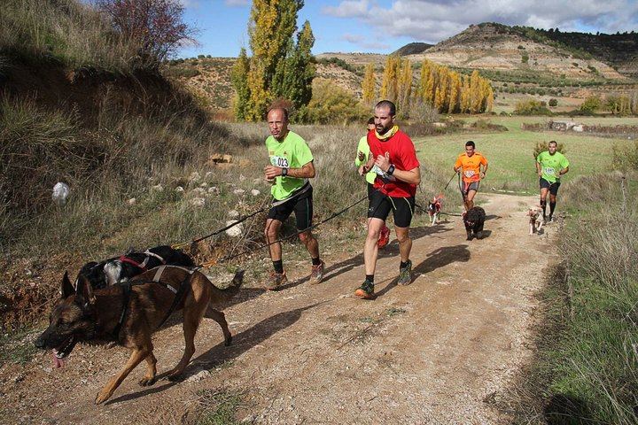El próximo domingo, 4 de febrero, se celebrará el II Canicross Popular de Pareja