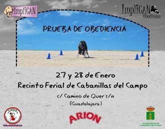 Los perros más obedientes podrán verse en Cabanillas del Campo