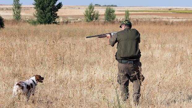 Un cazador herido al recibir accidentalmente un disparo de una escopeta en Albacete
