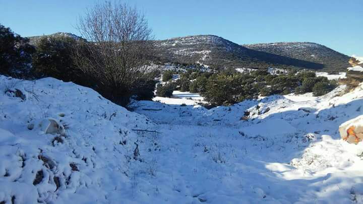 Sigüenza registra esta noche pasada una de las mínimas más bajas de España, -14,3ºC