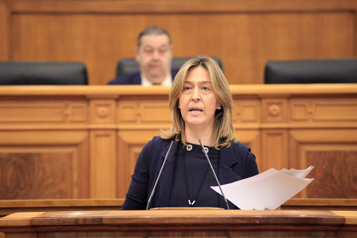 Guarinos: “Page desprecia a Guadalajara incumpliendo las sentencias sobre el Fuerte y nos discrimina negándose a costear los accesos al Hospital”