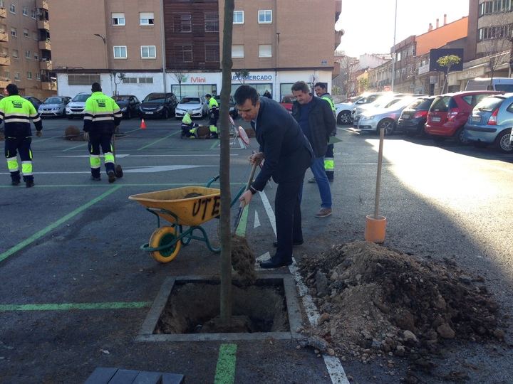 En 2018, el Ayuntamiento de Guadalajara plantará 1.200 árboles en la ciudad