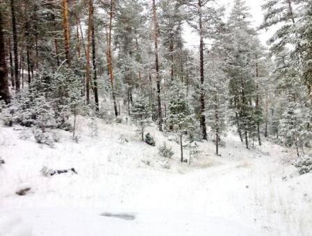 Castilla La Mancha activa el Plan de Emergencias en toda la región ante la previsión de nevadas