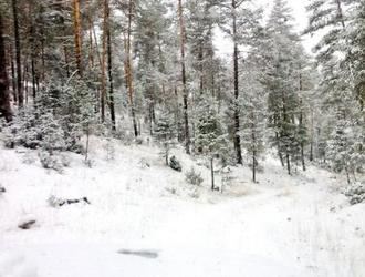 Castilla La Mancha activa el Plan de Emergencias en toda la región ante la previsión de nevadas