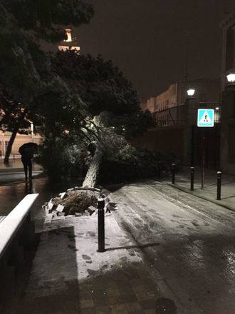 Desde que se ha activado el METEOCAM hasta las 19.00 horas, se han registrado 30 incidentes en Guadalajara por el temporal