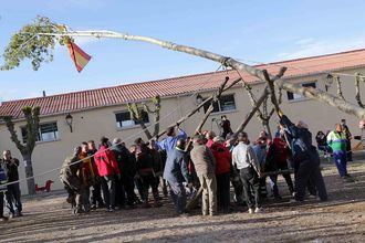 Fuentenovilla ya luce su tradicional mayo, previo a las fiestas