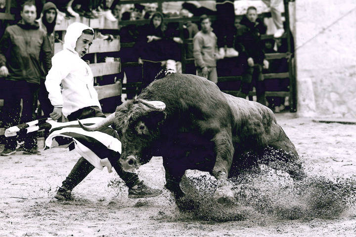 ToroAlcarria entrega los premios de su XII Concurso de Fotografía Taurina