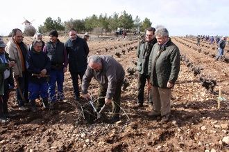 Unas 70 personas participan en el V Concurso Regional de Poda de Viñedo en Vaso