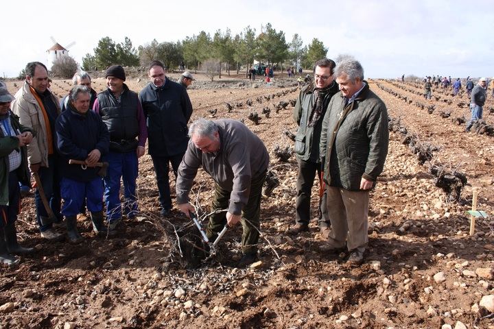 Unas 70 personas participan en el V Concurso Regional de Poda de Viñedo en Vaso