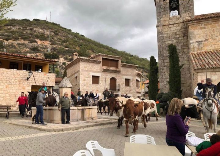 Más de 400 personas disfrutan de la trashumancia entre Atanzón y Caspueñas