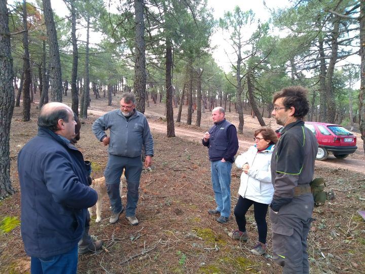 La Diputación prepara una nueva orden de subvenciones para ayudar a los resineros