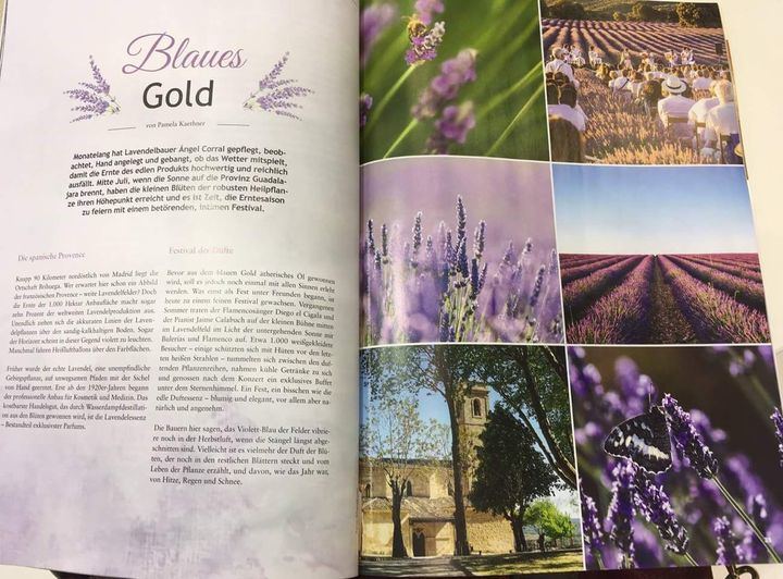 La Lavanda de Brihuega florece en la ITB de Berlín