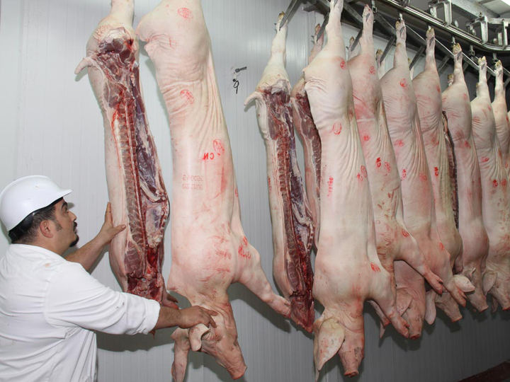 UGT FICA CLM no descarta movilizaciones en el sector cárnico regional por los falsos autónomos