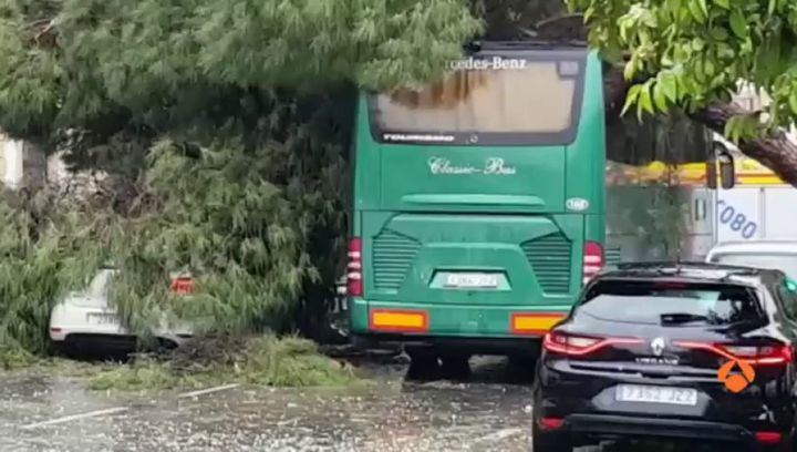 Un tornado inesperado provoca cuantiosos daños en el centro de Sevilla