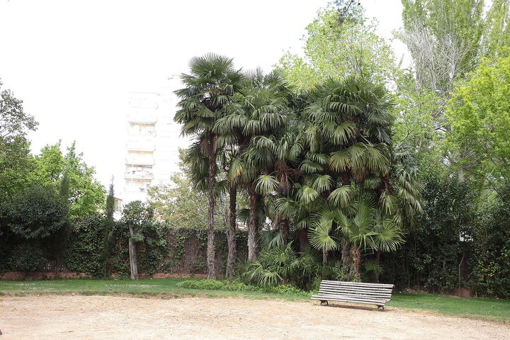 Temperaturas este domingo en descenso en Guadalajara llegando a los 18ºC