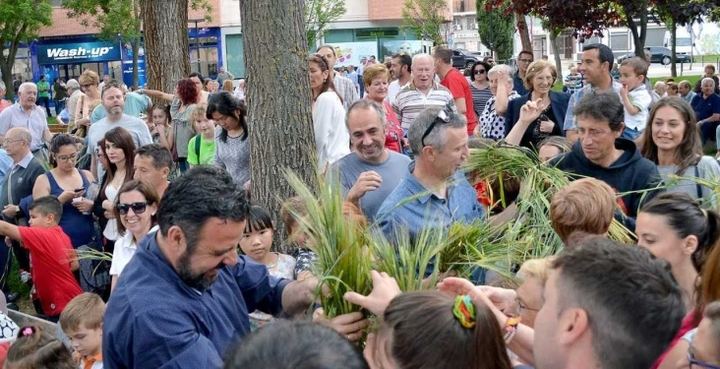 La Fiesta de la Espiga revive este martes la tradición de San Isidro en Azuqueca
