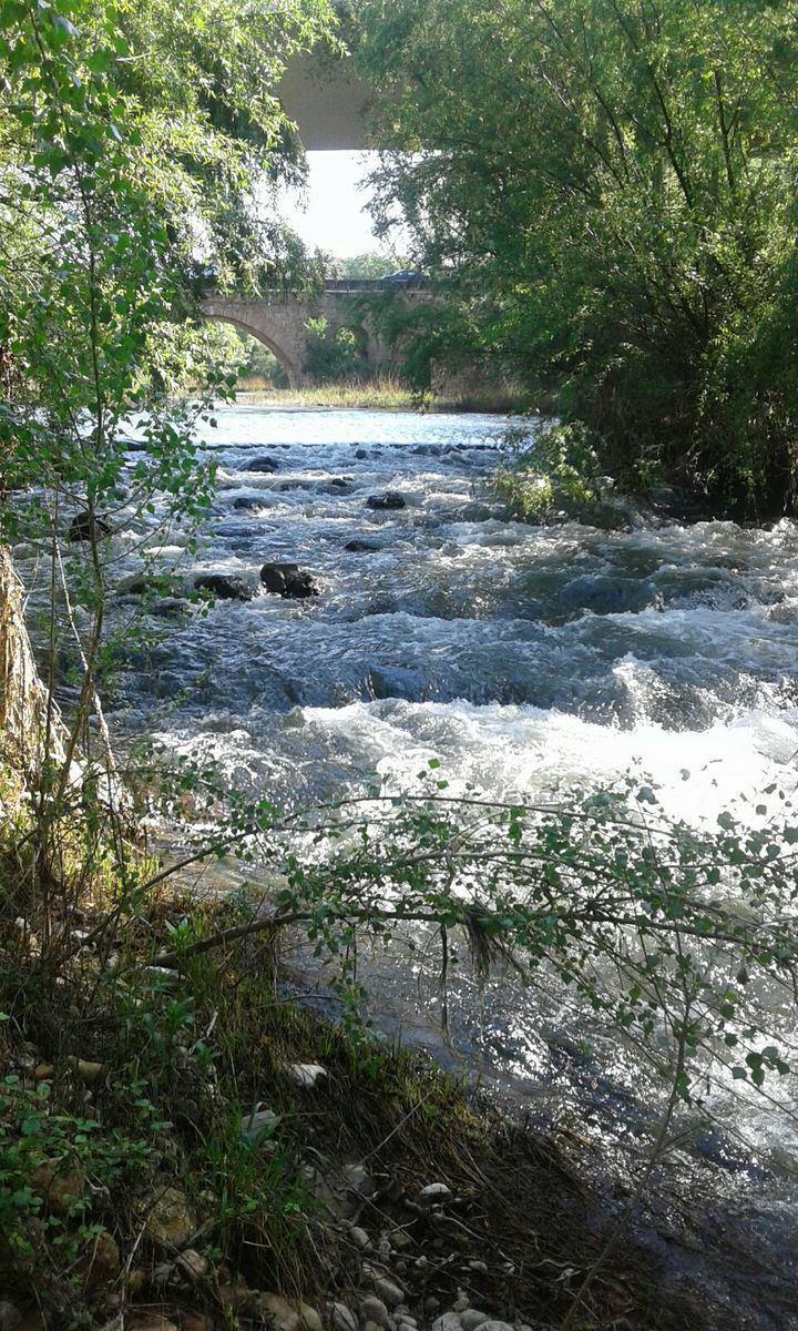 El río Henares a su paso por el puente árabe en Guadalajara Foto : Jacinto García