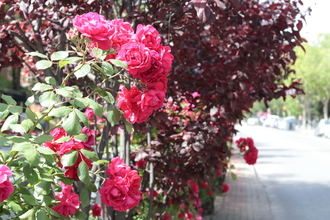 Suben las temperaturas el Día de Castilla La Mancha en Guadalajara donde habrá más sol que nubes