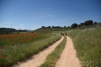 La Diputación de Guadalajara explicará el proyecto del ‘Viaje a la Alcarria’ en Castellón con motivo del Día de Europa