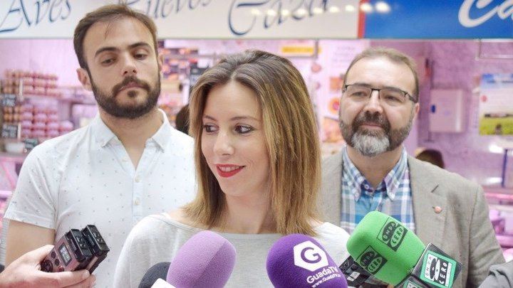 Lucía de Luz, nueva portavoz del Grupo Socialista en el Ayuntamiento de Guadalajara