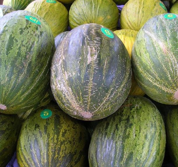 Un matrimonio, gravemente agredido en Ciudad Real tras discutir por...unos melones