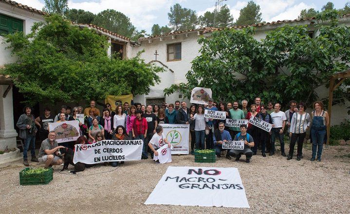 La Plataforma Stop Macrogranjas de Molina une fuerzas con más de 30 plataformas vecinales y organizaciones contra la ganadería industrial