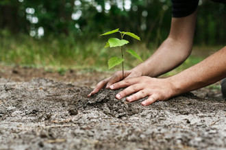 Yebes tendr&#225; un equipo de voluntarios ambientales comprometidos con la mejora de los espacios verdes