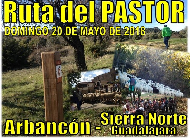 La Ruta del Pastor reivindicará la vida y la cultura rural en Arbancón